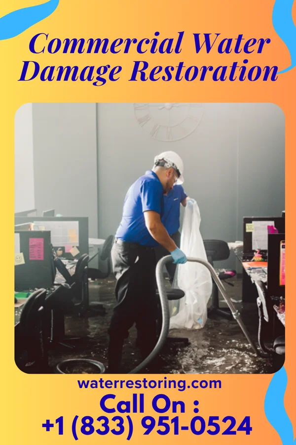 Commercial Water Damage Restoration in Lee Acres, NM