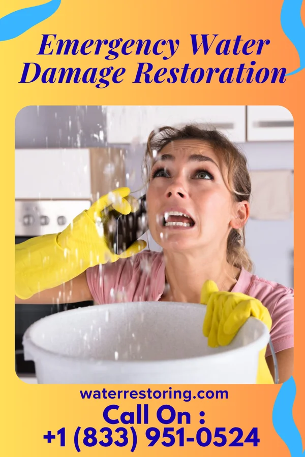 Emergency Water Damage Restoration in Lee Acres, NM