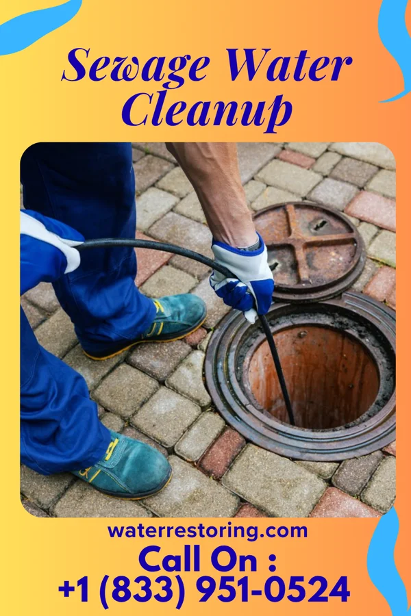 Sewage Water Cleanup in Lee Acres, NM